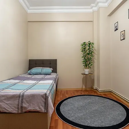公寓 Besiktas And Sisli Luxury Flat