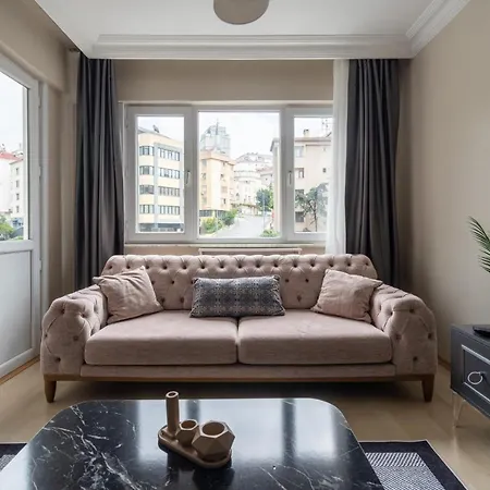 公寓 Besiktas And Sisli Luxury Flat