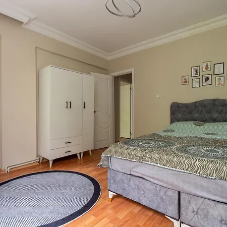 公寓 Besiktas And Sisli Luxury Flat