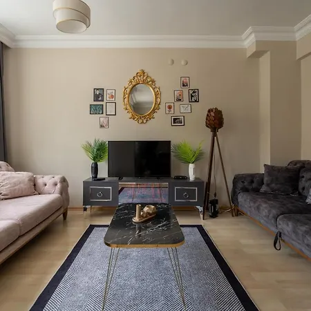 公寓 Besiktas And Sisli Luxury Flat