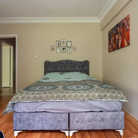 公寓 Besiktas And Sisli Luxury Flat