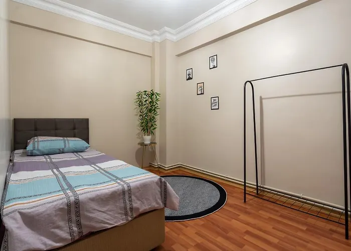 Besiktas And Sisli Luxury Flat 公寓 *