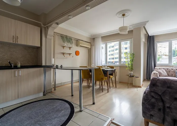 Besiktas And Sisli Luxury Flat 公寓
