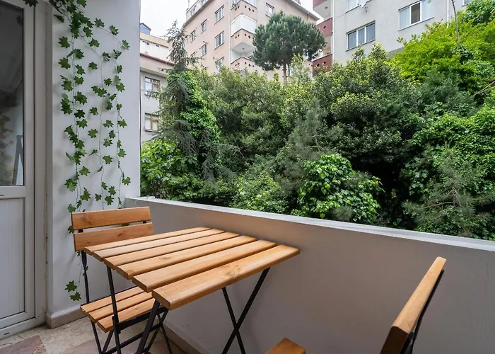 Besiktas And Sisli Luxury Flat 公寓