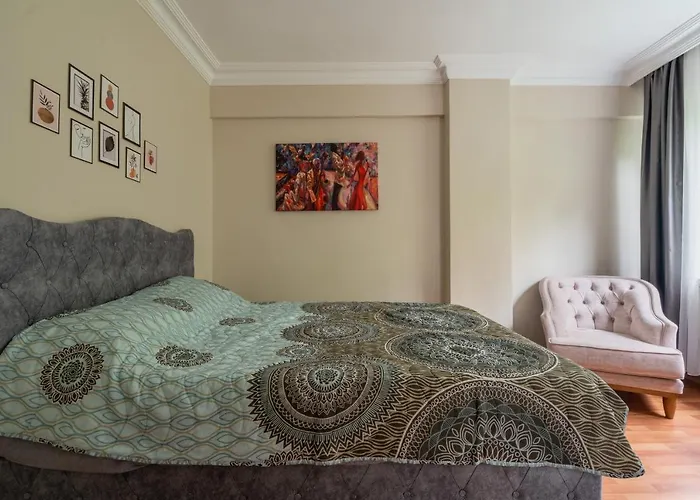 公寓 Besiktas And Sisli Luxury Flat 伊斯坦布尔