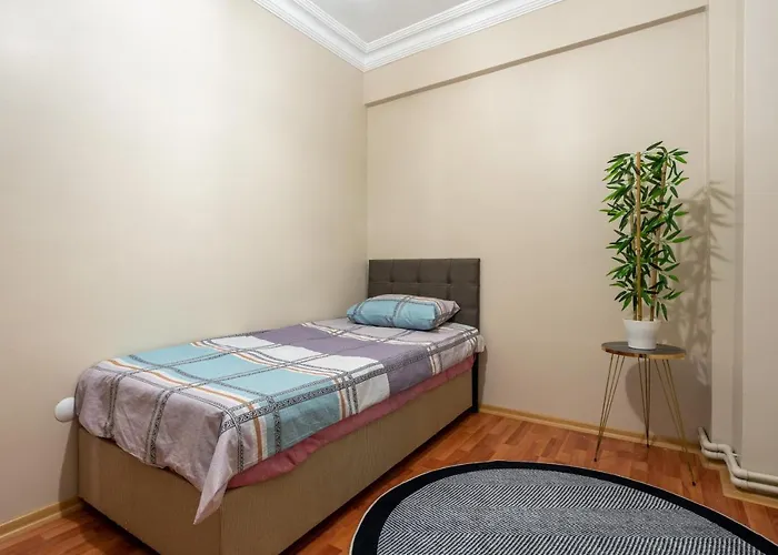 Besiktas And Sisli Luxury Flat 公寓