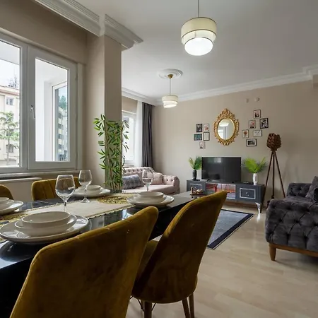 Besiktas And Sisli Luxury Flat アパート イスタンブール